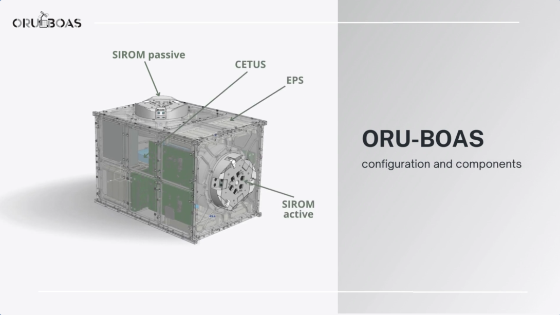 Symphony of Connection: Artistic Interpretation of ORU-BOAS Platform Mating